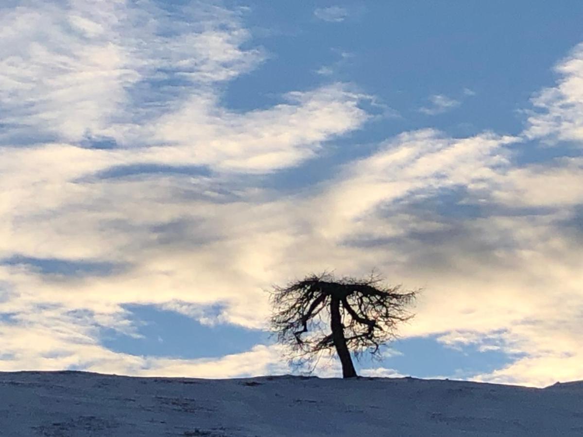 Marktlhuette Hochrindl Buitenkant foto
